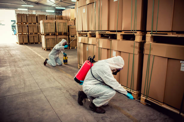 Trusted Woodsboro, MD Pest Control Experts