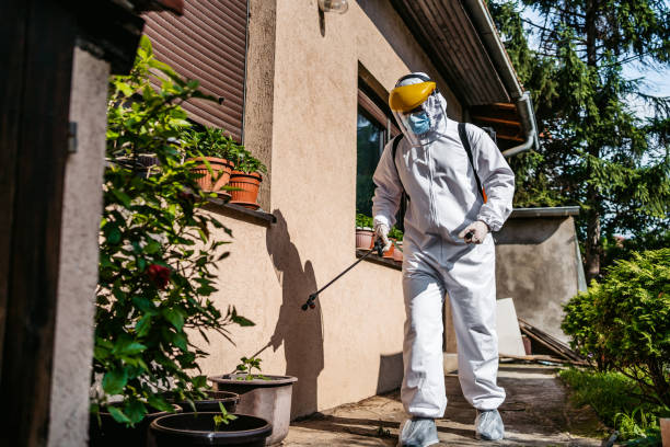 Wasp Removal Services in Woodsboro, MD
