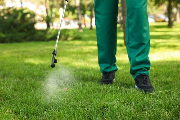 Best Affordable Pest Control Services  in Woodsboro, MD