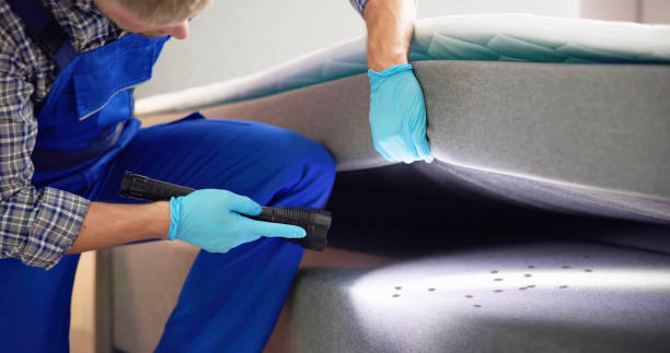 Best Mosquito Control Services  in Woodsboro, MD