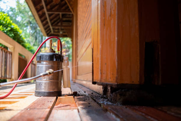 Pest Control for Restaurants in Woodsboro, MD