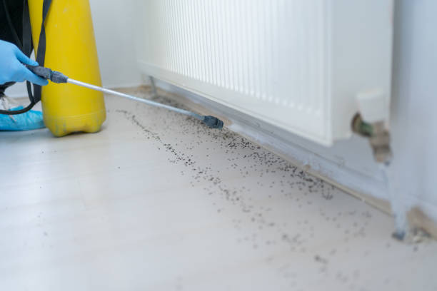 Best Pest Prevention Services  in Woodsboro, MD