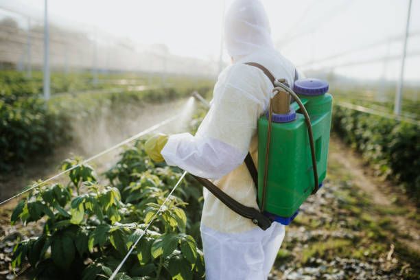 Pest Prevention Services in Woodsboro, MD
